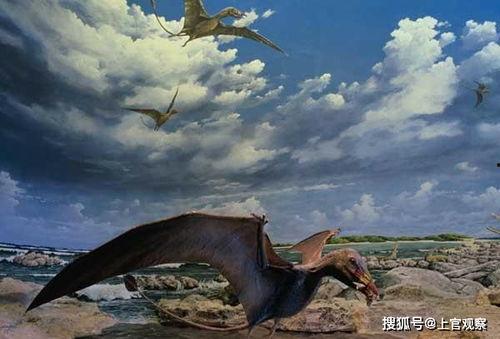 风神翼龙最新爆料视频,揭秘神秘生物的进化之谜  第2张