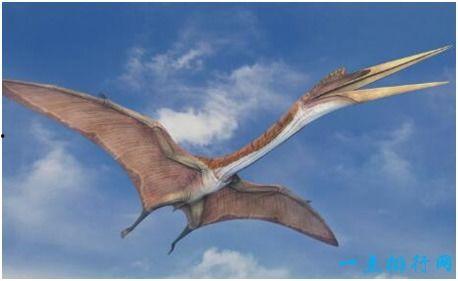 风神翼龙最新爆料视频,揭秘神秘生物的进化之谜  第3张
