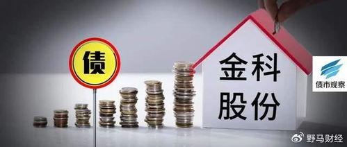 金科重整最新爆料,揭秘债务重组与转型之路  第2张